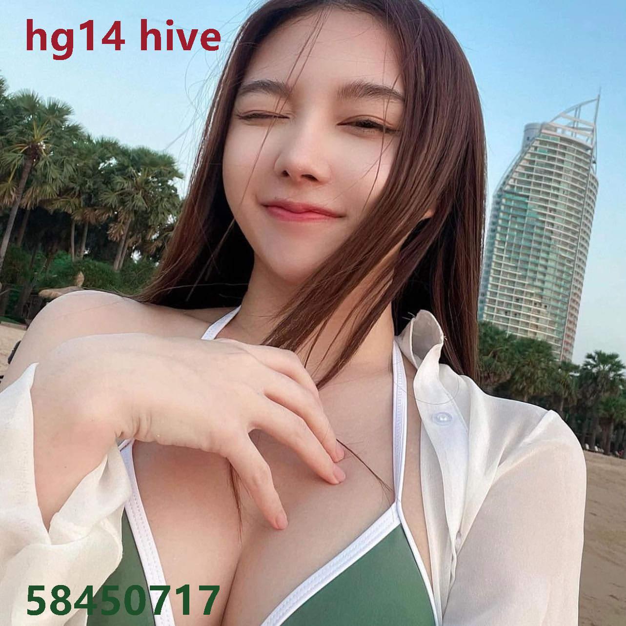 hg14 hive